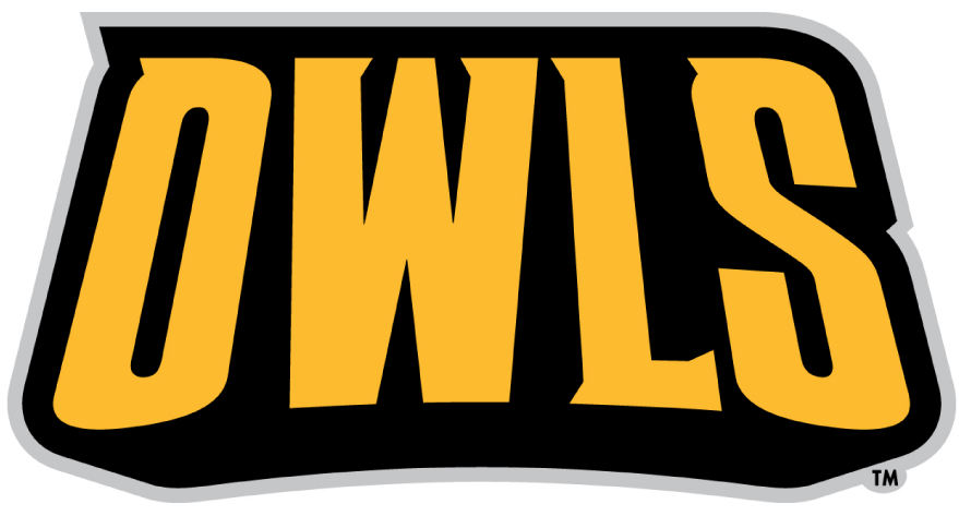 Kennesaw State Owls 2012-Pres Wordmark Logo t shirts iron on transfers